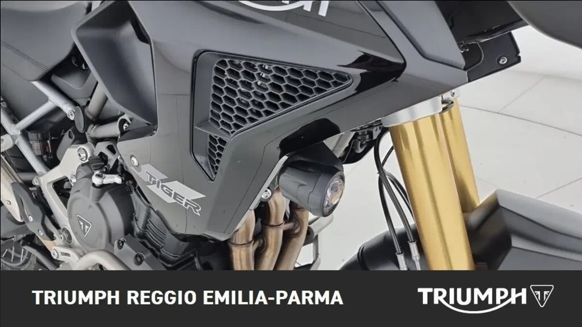 Triumph Tiger 1200 Rally Pro (2024 - 26) (21)