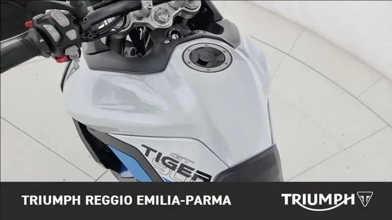 Triumph Tiger 900 Alpine Special Edition (2026) (13)