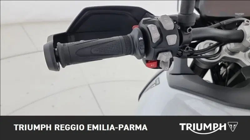 Triumph Tiger 900 Alpine Special Edition (2026) (10)