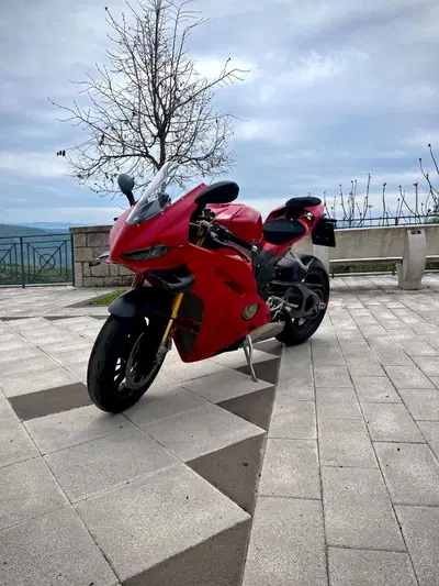 Ducati Panigale V4 S (2025 - 26) usata