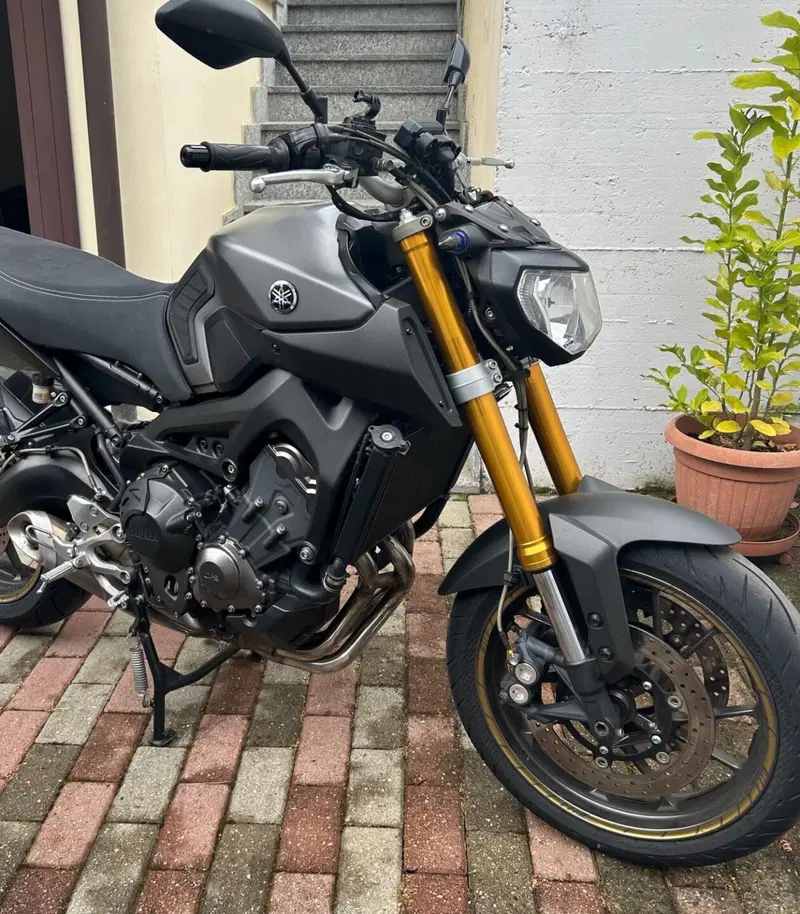 Yamaha MT-09 Sport Tracker (2014 - 16) (2)
