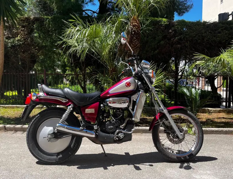 Aprilia Red rose (2)
