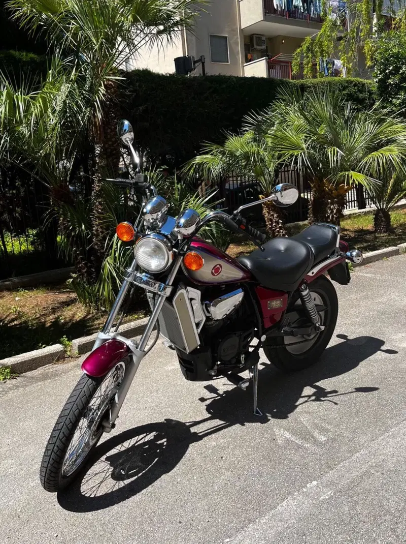 Aprilia Red rose (3)