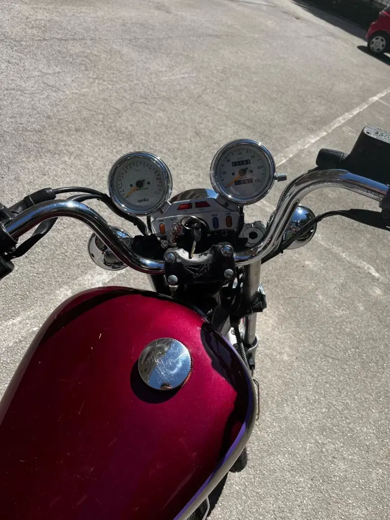 Aprilia Red rose (4)