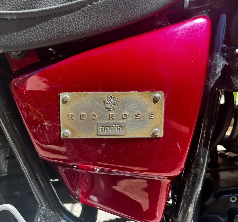 Aprilia Red rose (5)