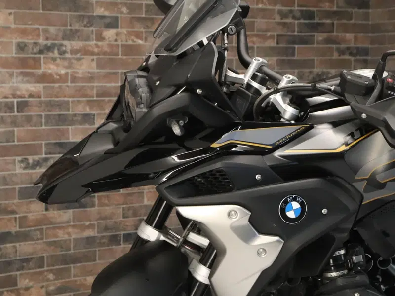 Bmw R 1250 GS (2019 - 20) (14)