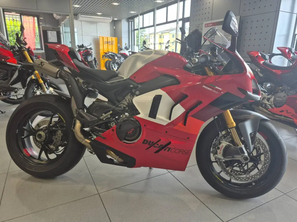 Ducati Panigale V4 R (2023 - 24)