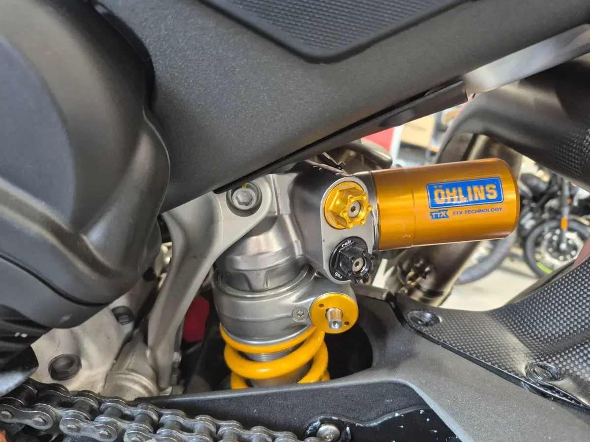 Ducati Panigale V4 R (2023 - 24) (8)