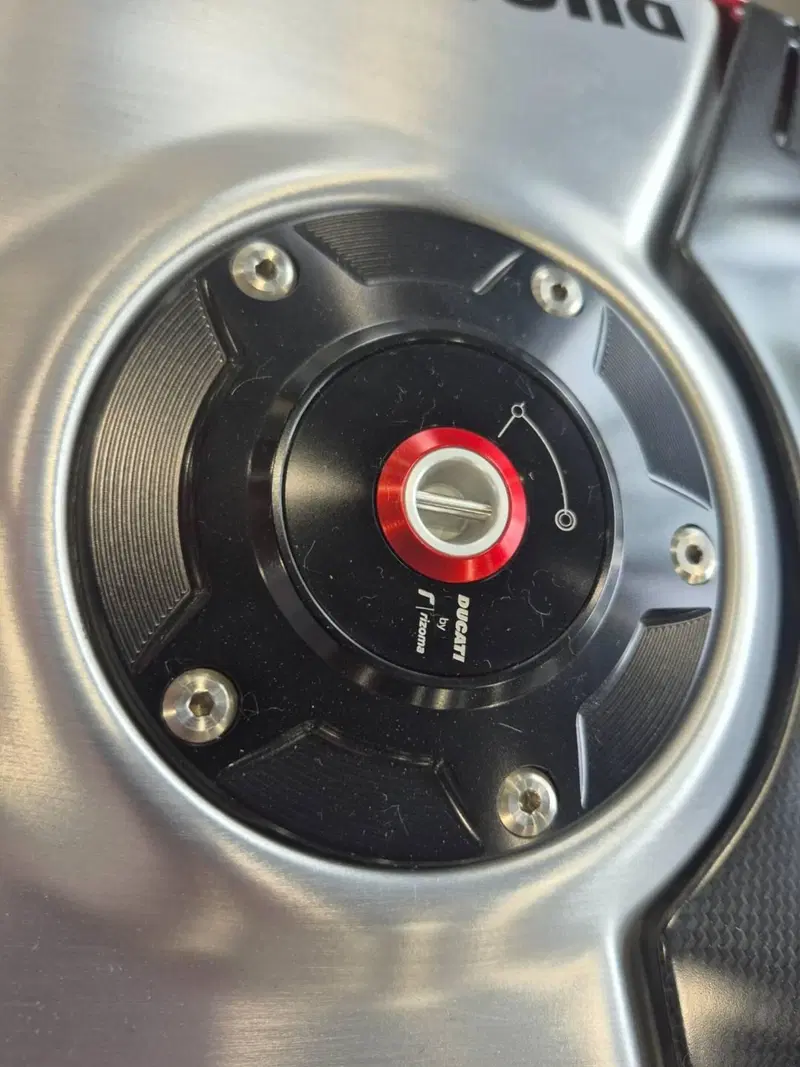 Ducati Panigale V4 R (2023 - 24) (10)
