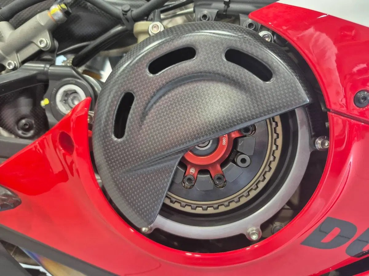 Ducati Panigale V4 R (2023 - 24) (14)