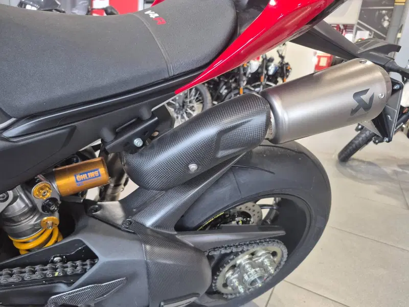 Ducati Panigale V4 R (2023 - 24) (15)
