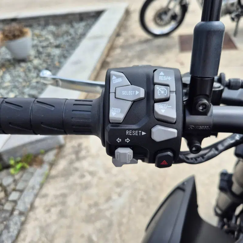 Kawasaki Z 900 (2025 - 26) (7)