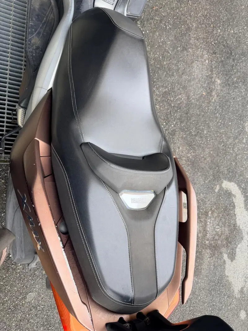 Yamaha X-Max 300 ABS (2017 - 20) (6)