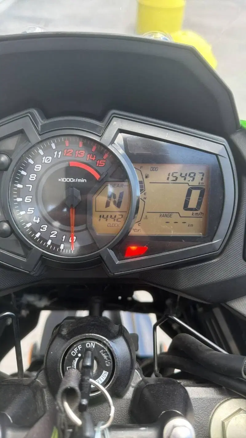 Kawasaki Versys-X 300 Urban (2017 - 19) (3)