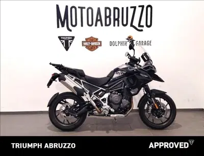 Triumph Tiger 1200 GT Pro (2024 - 26) usata