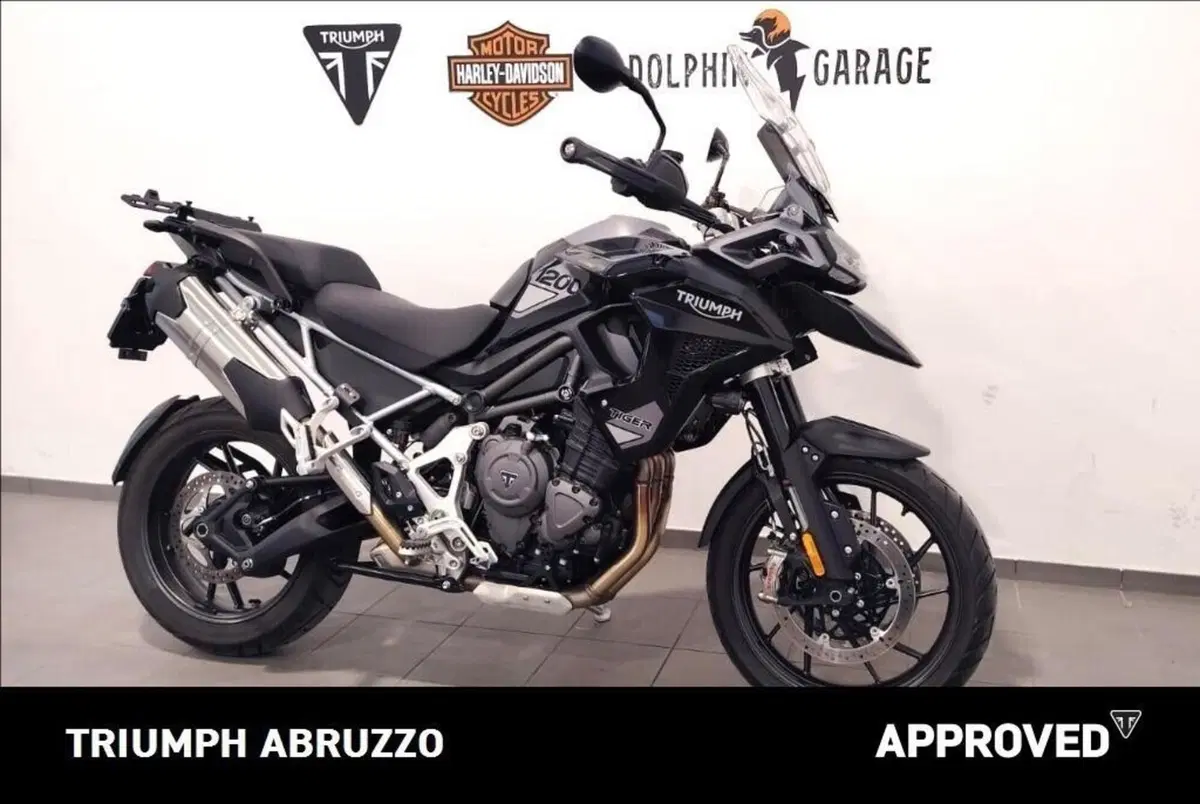 Triumph Tiger 1200 GT Pro (2024 - 26) (3)