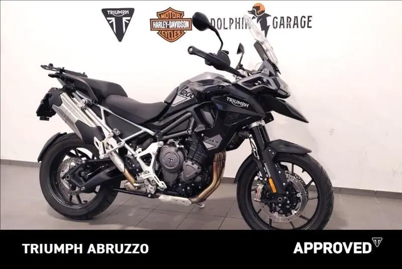 Triumph Tiger 1200 GT Pro (2024 - 26) (3)