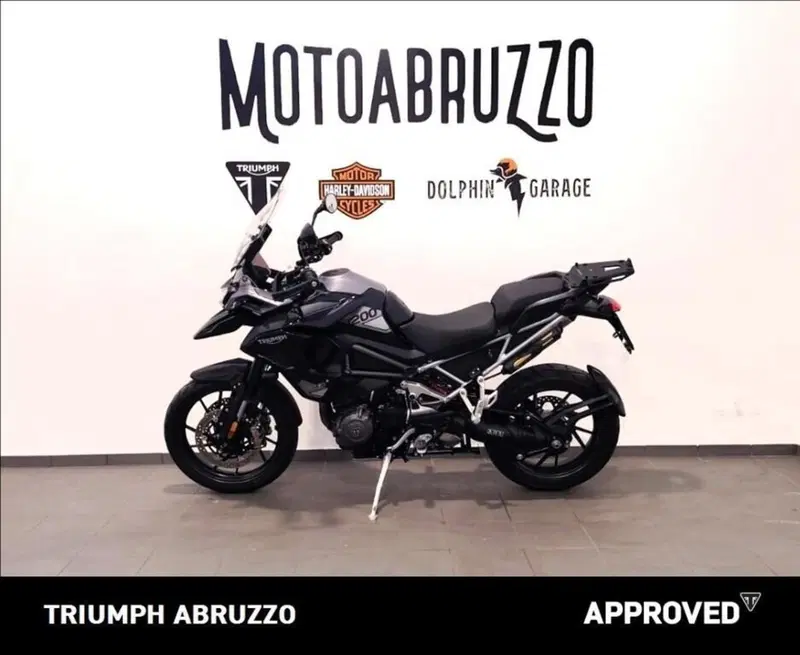Triumph Tiger 1200 GT Pro (2024 - 26) (9)