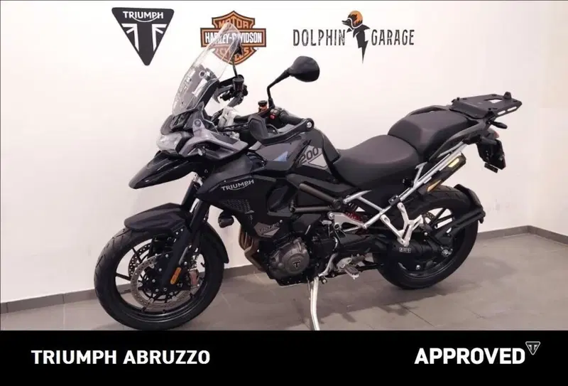Triumph Tiger 1200 GT Pro (2024 - 26) (8)