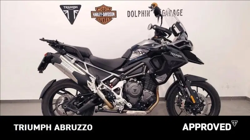 Triumph Tiger 1200 GT Pro (2024 - 26) (6)