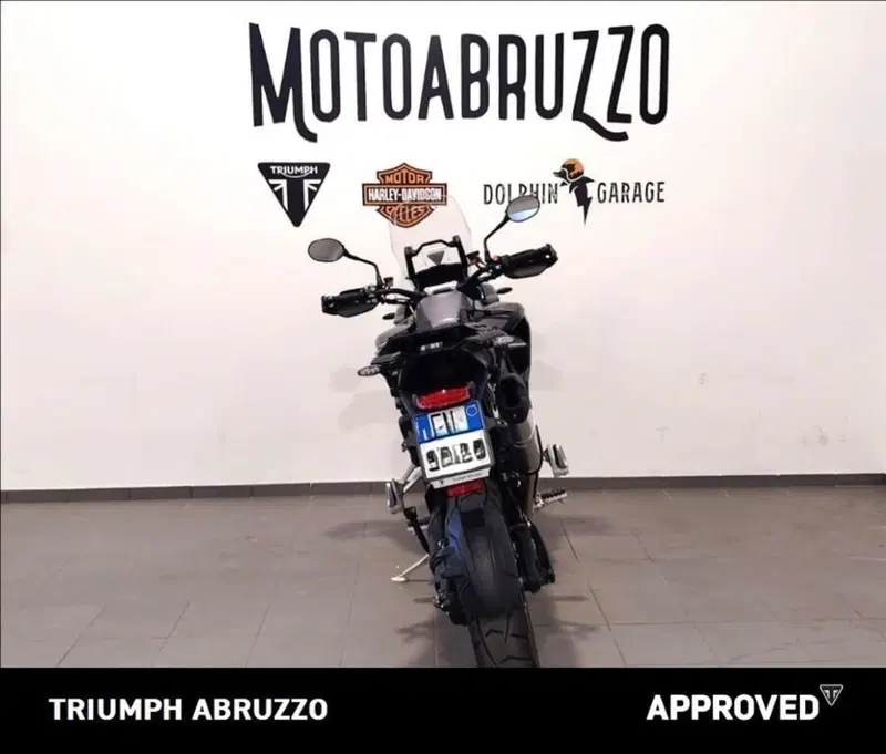 Triumph Tiger 1200 GT Pro (2024 - 26) (10)