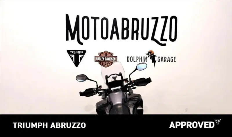 Triumph Tiger 1200 GT Pro (2024 - 26) (11)