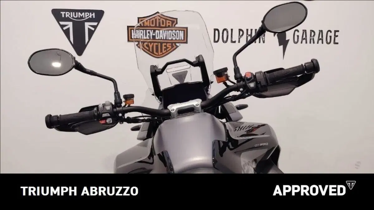 Triumph Tiger 1200 GT Pro (2024 - 26) (14)