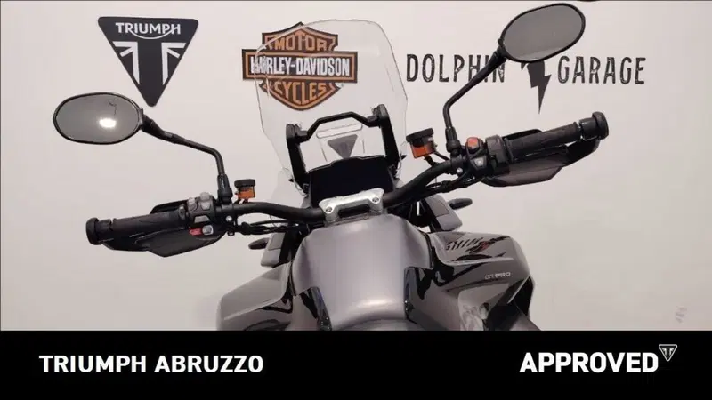 Triumph Tiger 1200 GT Pro (2024 - 26) (14)
