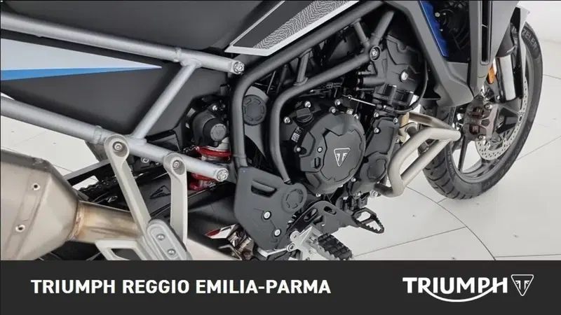 Triumph Tiger 900 Alpine Special Edition (2026) (19)