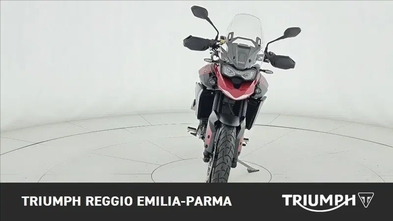 Triumph Tiger 1200 GT Pro (2024 - 26) (5)
