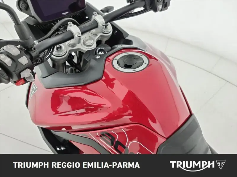 Triumph Tiger 1200 GT Pro (2024 - 26) (13)