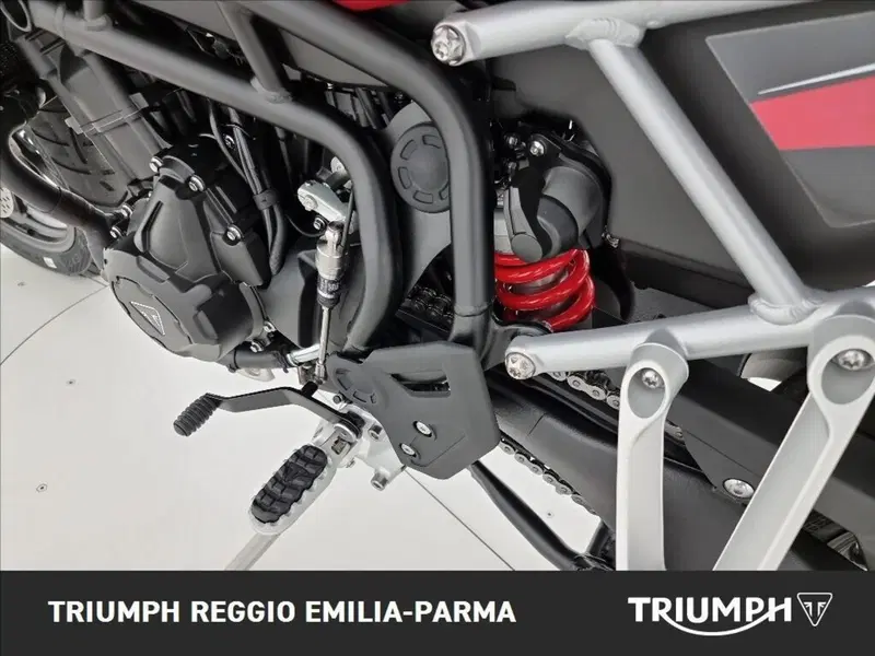 Triumph Tiger 1200 GT Pro (2024 - 26) (16)