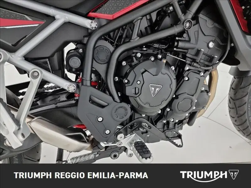 Triumph Tiger 1200 GT Pro (2024 - 26) (21)