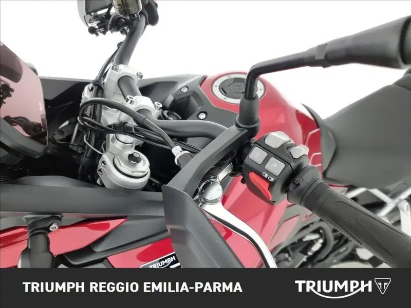 Triumph Tiger 1200 GT Pro (2024 - 26) (12)