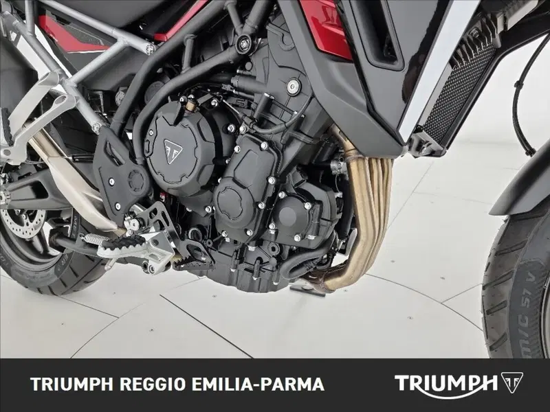 Triumph Tiger 1200 GT Pro (2024 - 26) (22)