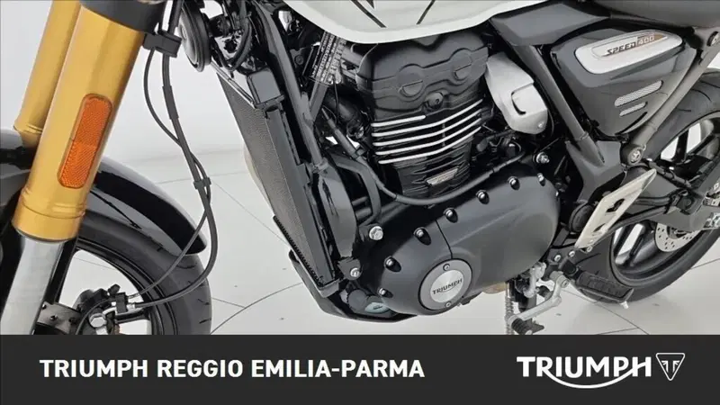 Triumph Speed 400 (2024 - 26) (22)