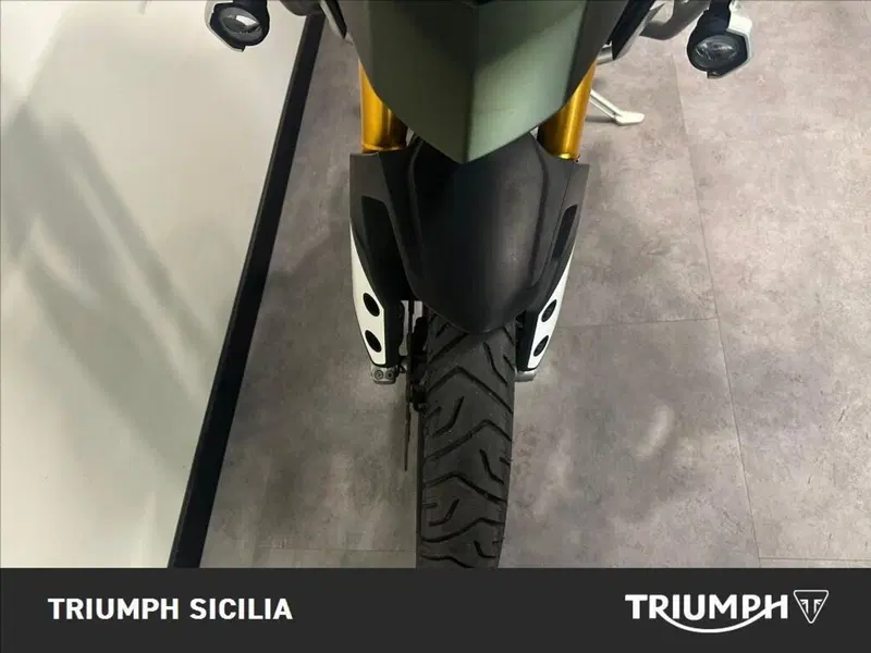 Triumph Tiger 900 Rally Pro (2020 - 23) (10)