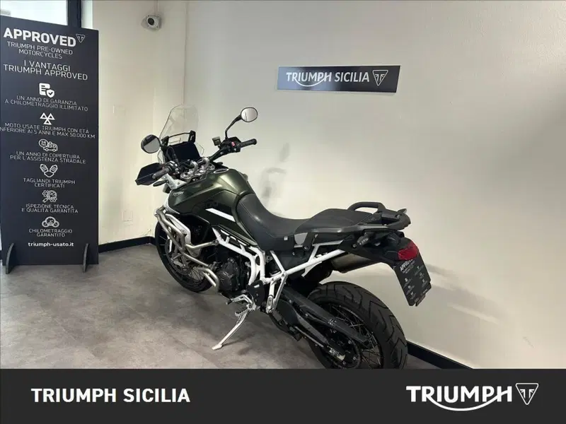 Triumph Tiger 900 Rally Pro (2020 - 23) (5)