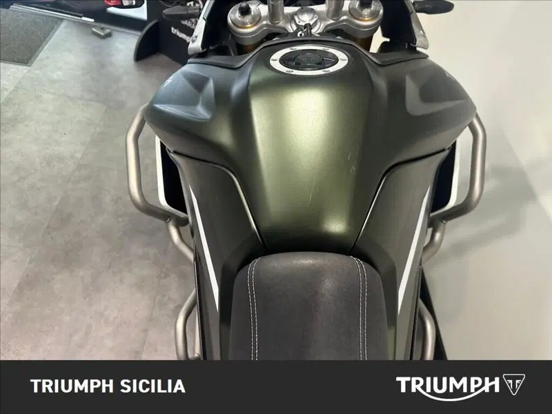 Triumph Tiger 900 Rally Pro (2020 - 23) (14)