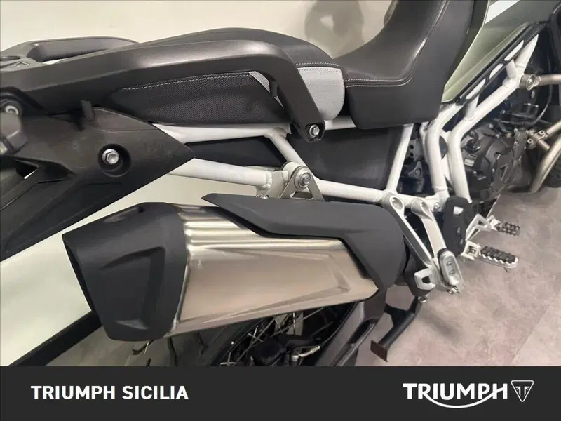 Triumph Tiger 900 Rally Pro (2020 - 23) (15)