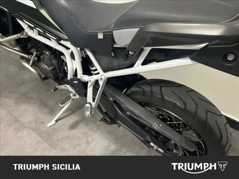 Triumph Tiger 900 Rally Pro (2020 - 23) (12)