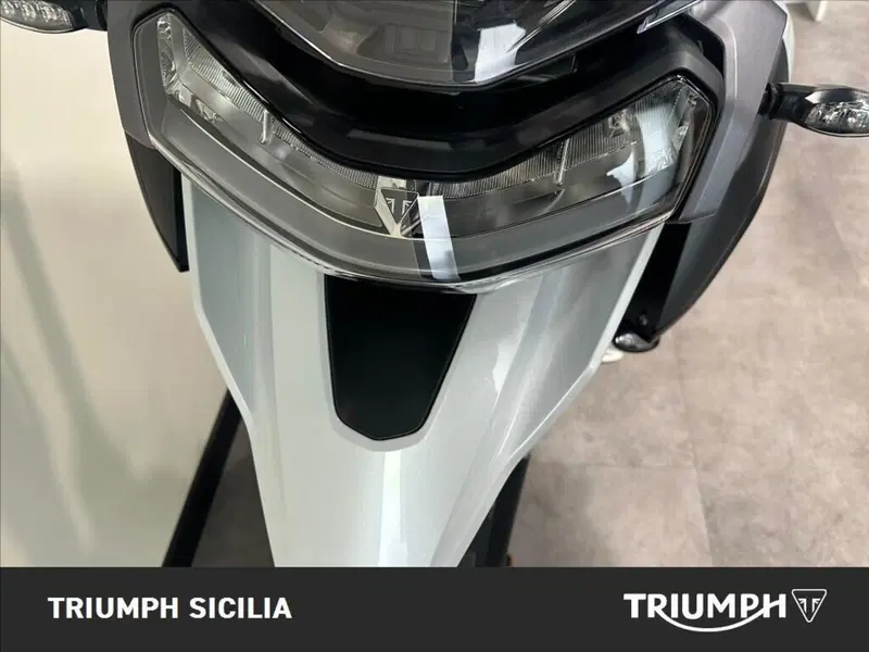 Triumph Tiger 1200 GT Pro (2024 - 26) (8)