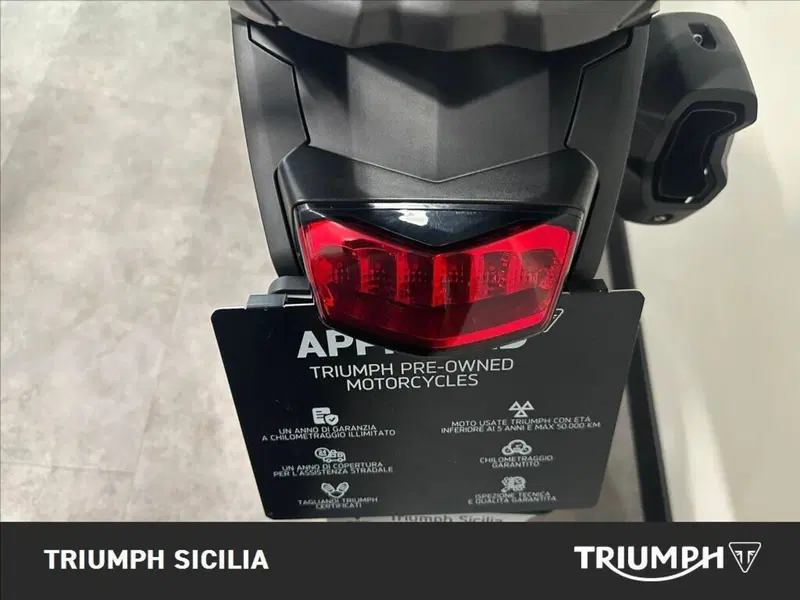 Triumph Tiger 1200 GT Pro (2024 - 26) (19)