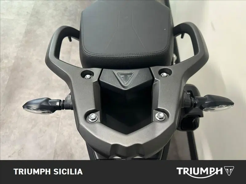Triumph Tiger 1200 GT Pro (2024 - 26) (18)