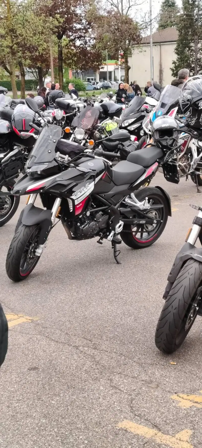Benelli TRK 251 (2022 - 25) (7)