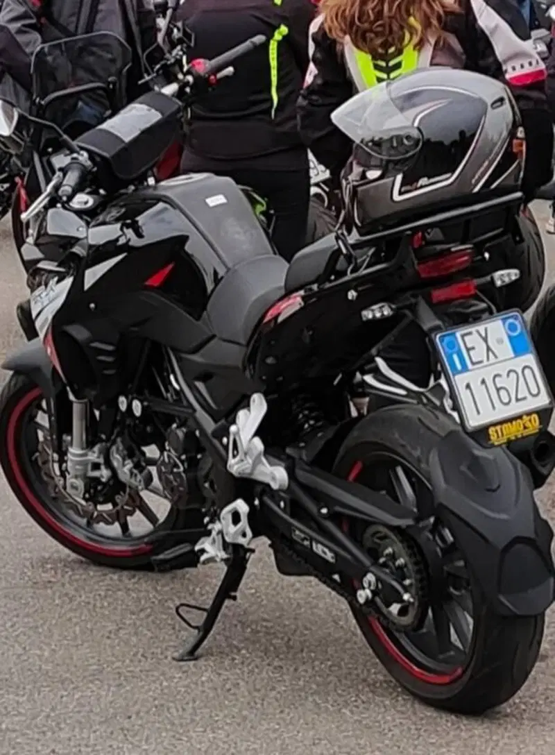 Benelli TRK 251 (2022 - 25) (8)