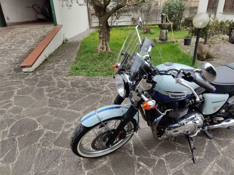 Triumph Bonneville T100 50th Anniversary (2009) (3)
