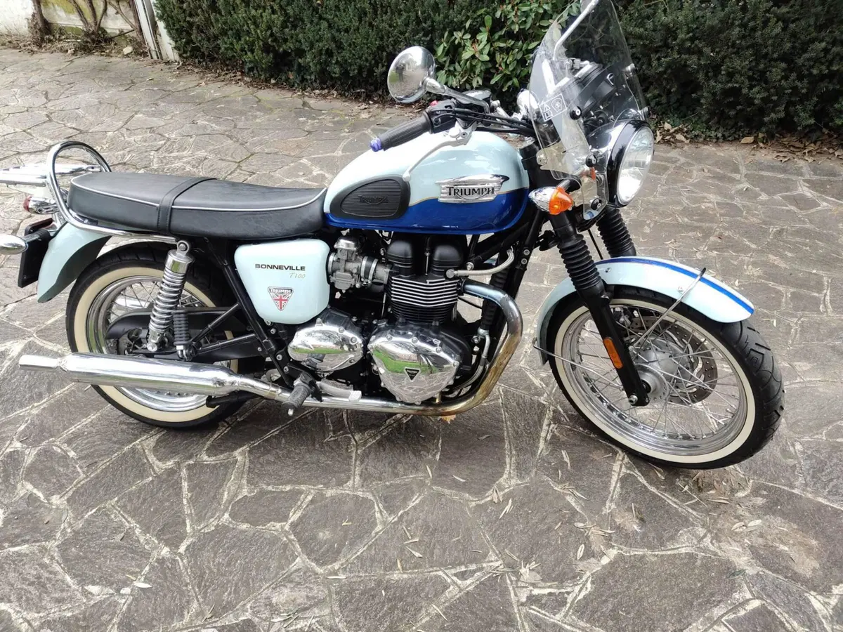 Triumph Bonneville T100 50th Anniversary (2009) (4)