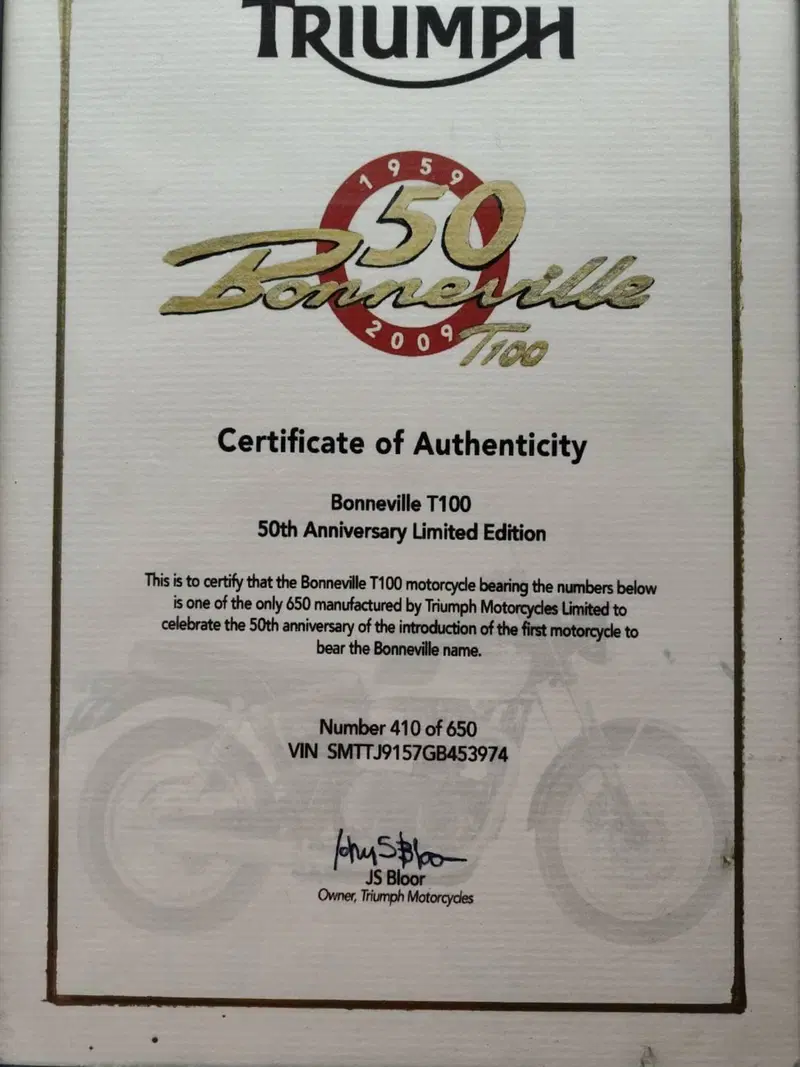 Triumph Bonneville T100 50th Anniversary (2009) (6)