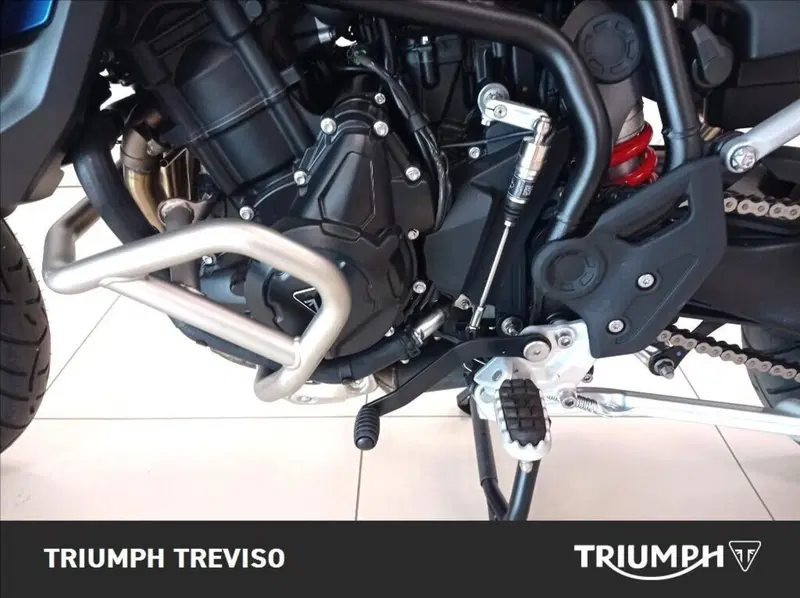 Triumph Tiger 900 Alpine Special Edition (2026) (4)